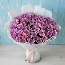 Букет цветов из:  Хризантемы в Сазоново