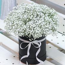 Цветочная композиция из Гипсофила в шляпной коробке #REPLACE_PRED# Сазоново